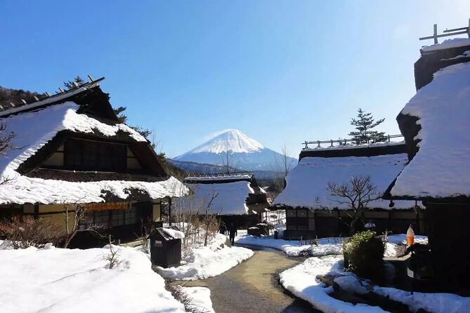 Mt.Fuji Tour: 3-Parks & The Healing Village in Fujiyoshida, Japan - Cancellation Policy