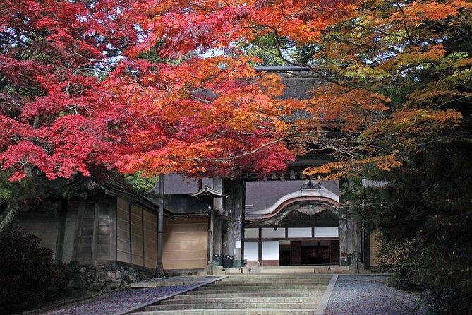 Mt Koya and Kumanokodo Walking 3 Day Tour From Osaka - Tips for Making the Most of the Experience