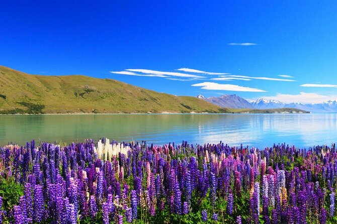 (Mt) Mount Cook Return Day Tour via Lake Tekapo From Christchurch - End Point and Cancellation Policy