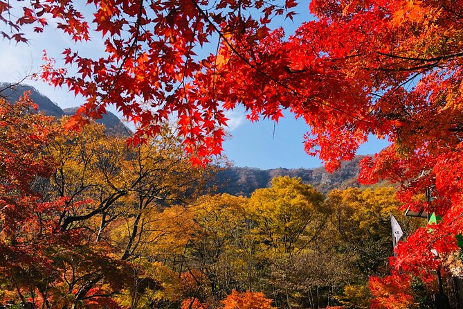 Mt. Naejang Autumn Foliage and Jeonju Hanok Village 1 Day Tour - Cancellation Policy Details