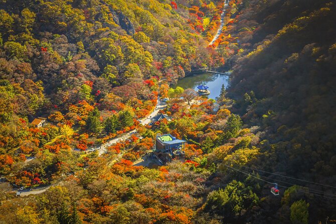 Mt. Naejang Sightseeing Trip From Seoul - Booking Information