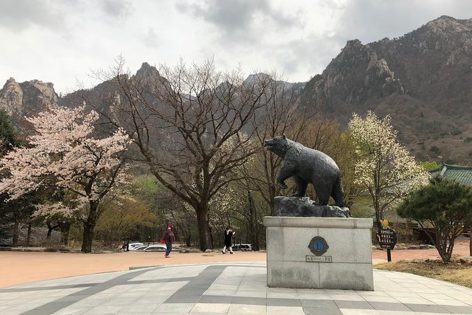 Mt. Seoraknami Islandgarden of Morning Calm Day Trip From Seoul - Customer Reviews and Feedback