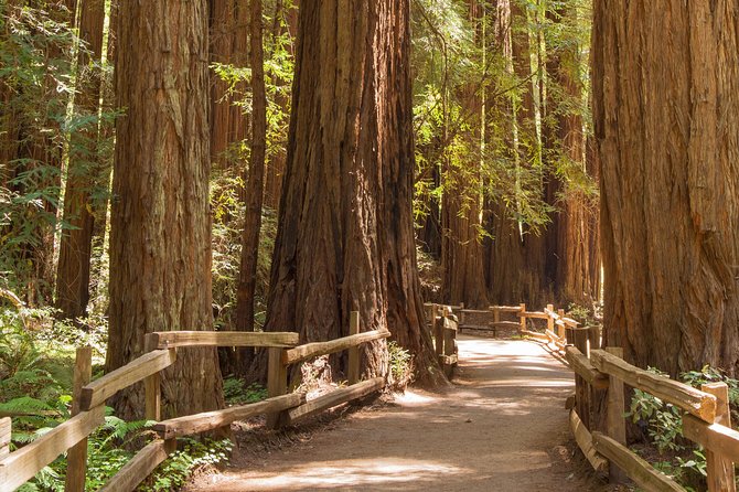 Muir Woods and Sausalito Small-Group Tour - Customer Reviews and Ratings