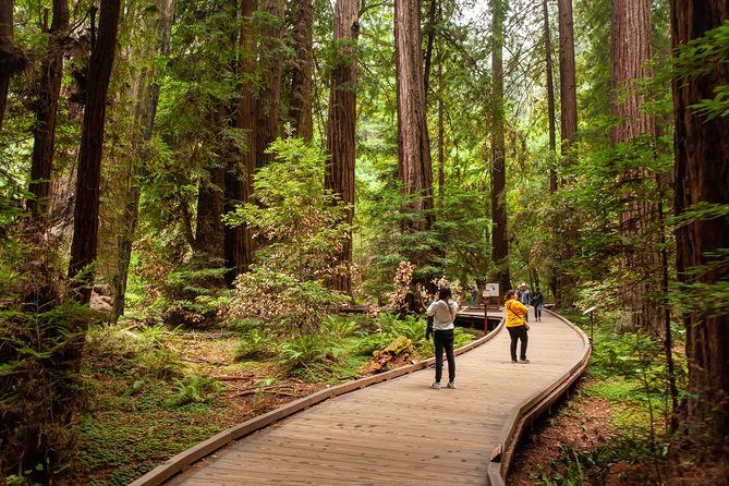 Muir Woods and Sausalito Tour Plus Bay Cruise - Host Responses