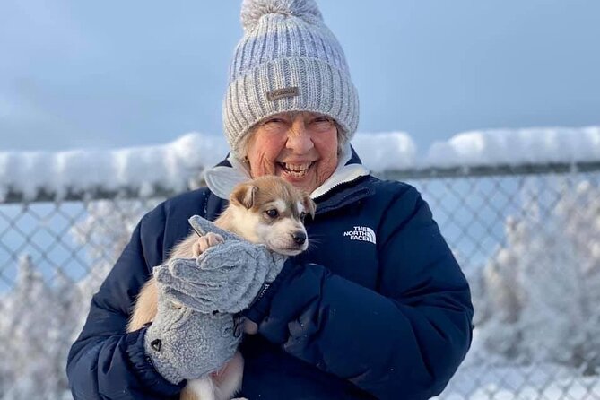 Mush Your Own Sled Dog Team (Winter Tour) in Talkeetna, Alaska - Additional Information