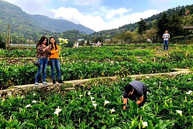 N102 Yangmingshan Beitou Freshwater Day Tour (10h) - Inclusions and Exclusions