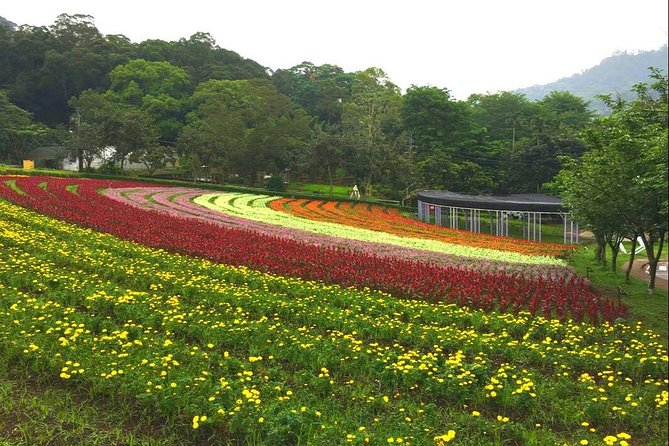 N110 Shihmen Reservoir Daxi Huahai Farm Daxi Old Tea Factory Daxi Old Street Day Tour (10h) - Daxi Old Tea Factory Tour