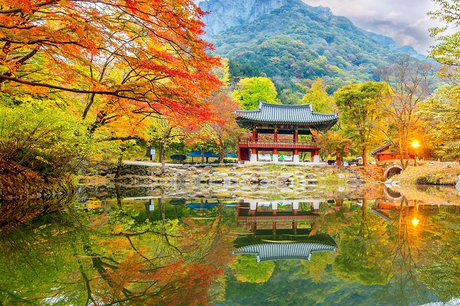 Naejangsan National Park Autumn Foliage Tour From Busan - Photography Tips