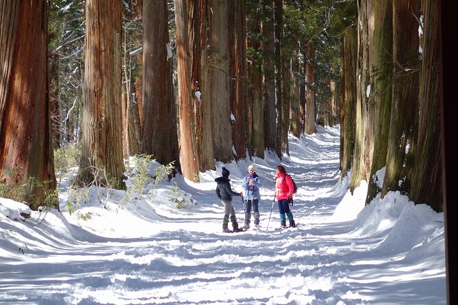 Nagano Winter Special Tour "Snow Monkey and Snowshoe Hiking"!! - Tour Expectations