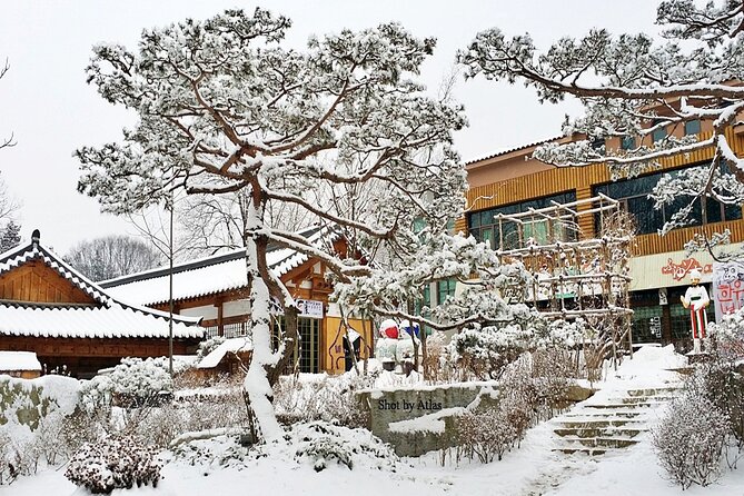 Nami Island and Ski Tour (Elysian Ski Resort) From Seoul - No Shopping - Booking and Cancellation Policies