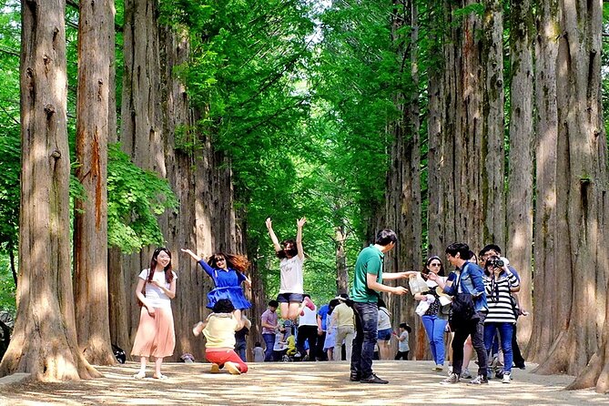 Nami Island, Cable Car, Garden of Morning Calm Panoramic Tour - Inclusions and Exclusions