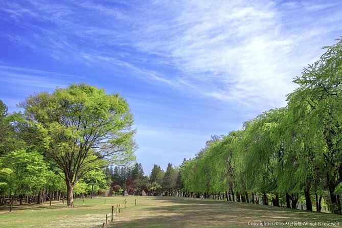 Nami Island & Mount Seorak Day Trip From Seoul - Customer Feedback