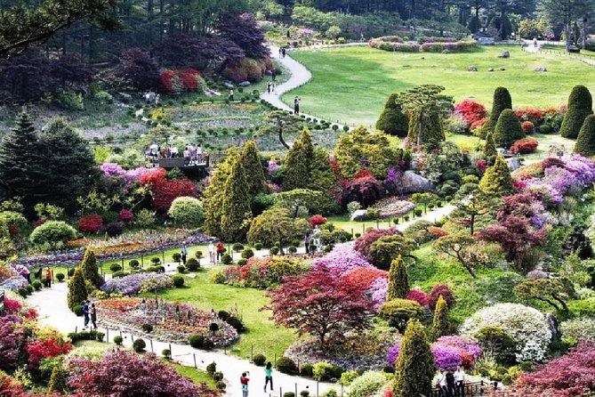 Nami Island Petit France Bus Tour - Start Time and Logistics Overview