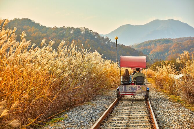 Nami Island & Petite France & Italian Village & Gangchon Rail Bike One-Day Tour - Customer Reviews and Feedback