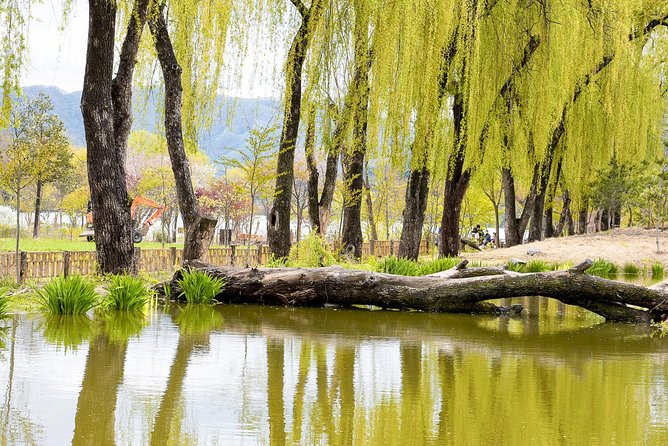Nami Island & Petite France With Italian Village One-Day Tour - Customer Reviews