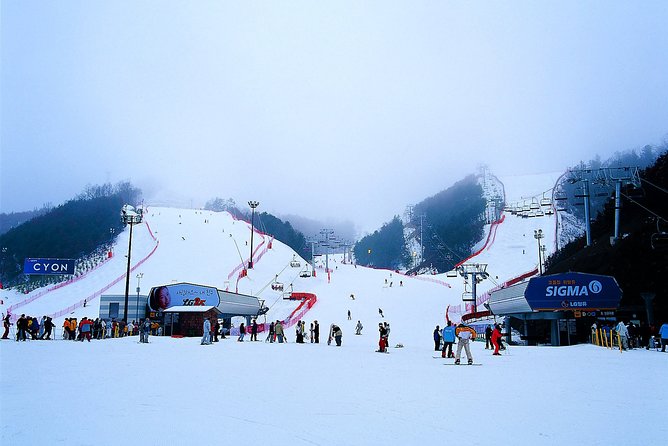 Nami Island Ski Tour - Ski Slopes and Trails