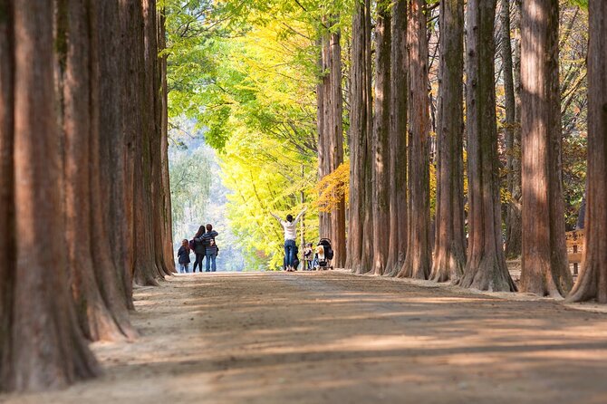 Nami Island Trip With Petite France & Italian Village and Gangchon Rail Bike - Travel Experience