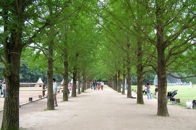 Nami Island With Garden of Morning Calm Trip - Travel Tips and Recommendations