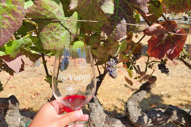 Napa and Sonoma Full-Day Wine-Tasting Tour From San Francisco - Winery Experiences and Feedback