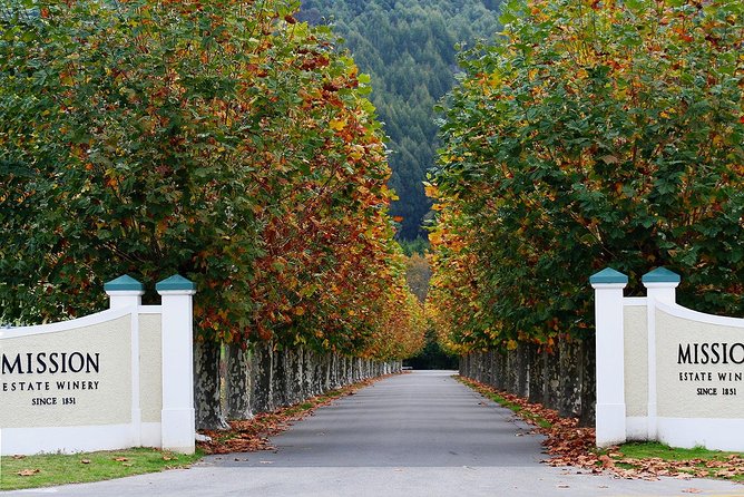 Napier Half-Day Small Group Wine and Beer Tour - Tour Highlights & Duration