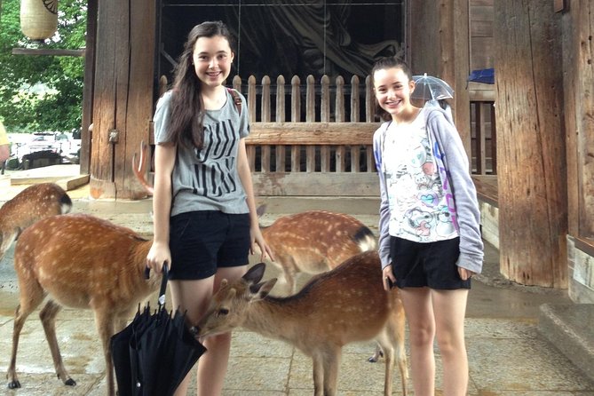 Nara Private Tour (Shore Excursion Available From Osaka or Kobe Port) - Reviews and Ratings