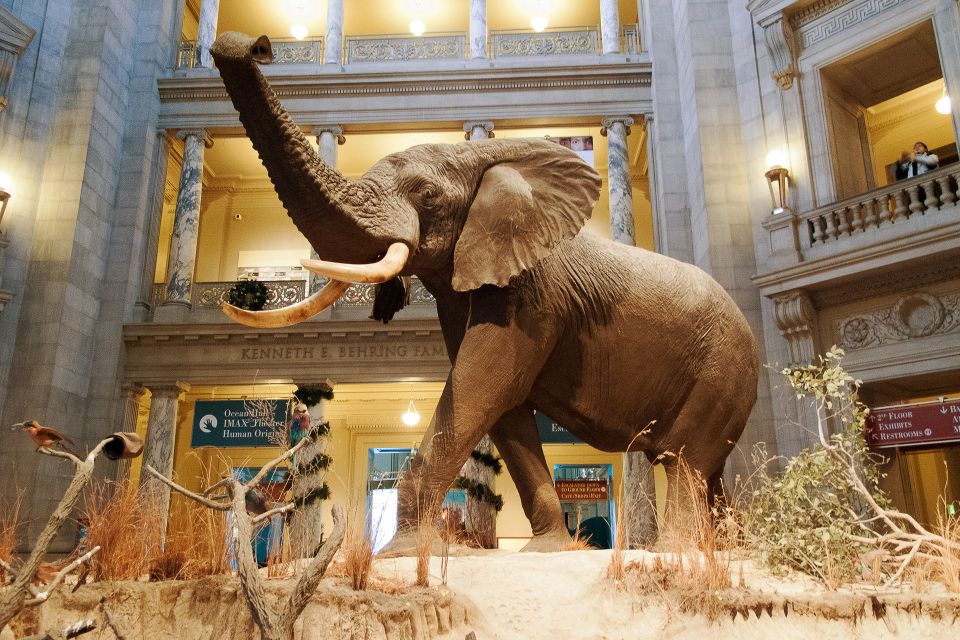 National Museum of Natural History Guided Tour - Tour Highlights