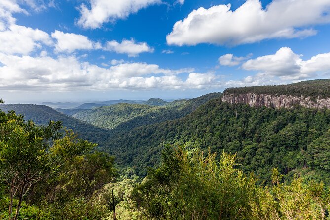 Natural Bridge & Springbrook Waterfalls Tour - Tour Highlights