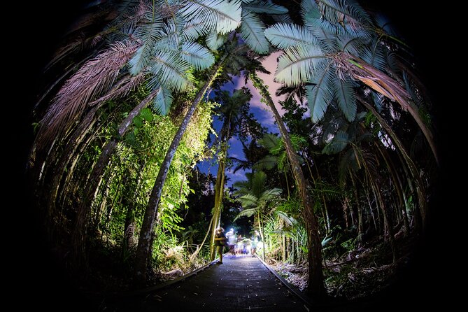 Nature Photography Guided Walks: Cairns  - Cairns & the Tropical North - Additional Information