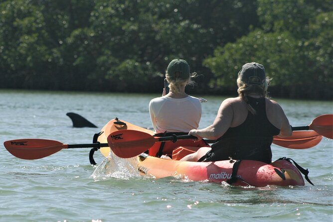 Nauti Exposures - Guided Kayak Tour Through the Mangroves - Traveler Experience