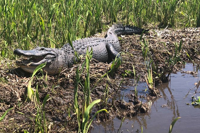 New Orleans Jean Lafitte National Historical Park Boat Ride - Sum Up