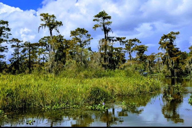 New Orleans Swamp Tour Boat Adventure With Transportation - Tour Highlights