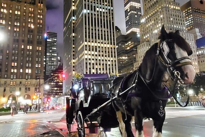 New York City Christmas Lights Private Horse Carriage Ride - Customer Feedback and Reviews