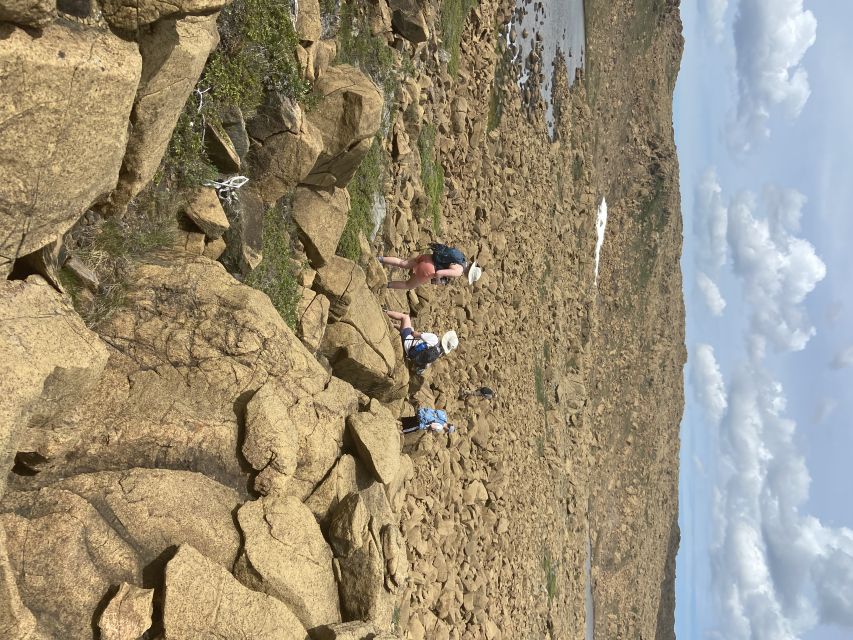 Newfoundland: Blow Me Down Mountains Half Day Hiking Tour - Key Points