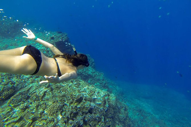 Niihau and Na Pali Coast Snorkel Boat Tour - Snorkeling Experience