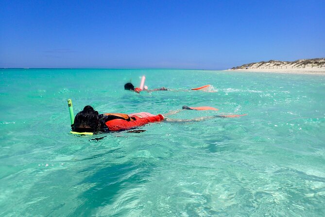 Ningaloo Reef Snorkel Adventure - Additional Information and Contact Details