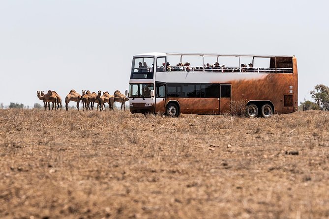 Nogo Station Experience - Wildlife and Pioneer Insights