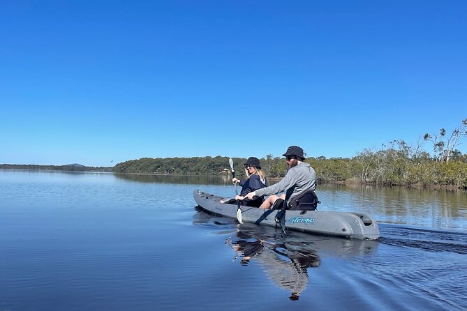 Noosa Everglade Kayak -South/Noosa End - Searching for Stingrays! - Experience Highlights