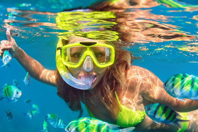 North Bay Snorkel - Expert Guides and Safety Measures