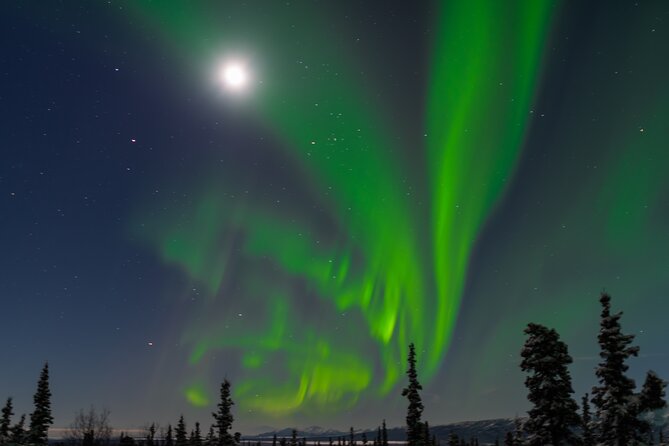 Northern Lights Adventure of a Liftetime From Anchorage - Tour Logistics