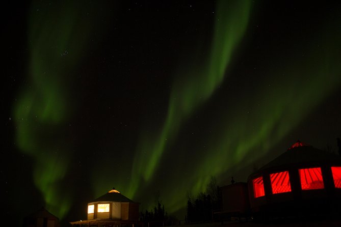 Northern Lights Viewing Including Dinner and 1-Hour Dog Sledding - Murphy Dome Duration Details
