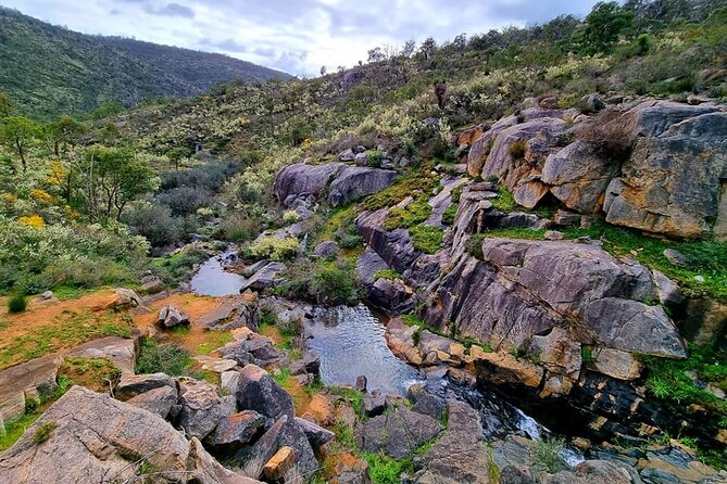 Numbat Trail Hiking Experience - Weather-Dependent Experience Details