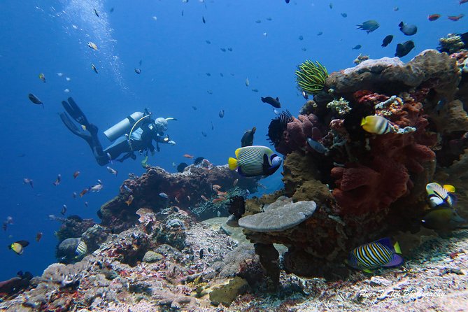 Nusa Penida Day Trip for 3 Dives - Common questions
