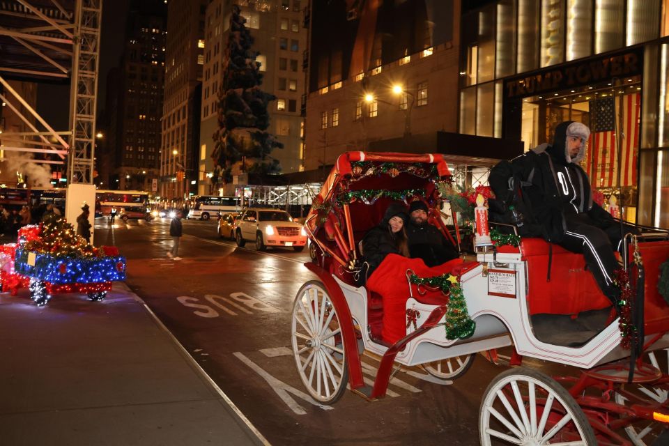 NYC: Magical Christmas Lights Carriage Ride (Up to 4 Adults) - Booking and Customer Reviews