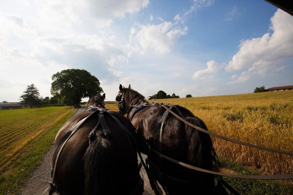 NYC: Niagara Falls, Philadelphia, Washington DC 4-Day Tour - Niagara Falls Experience