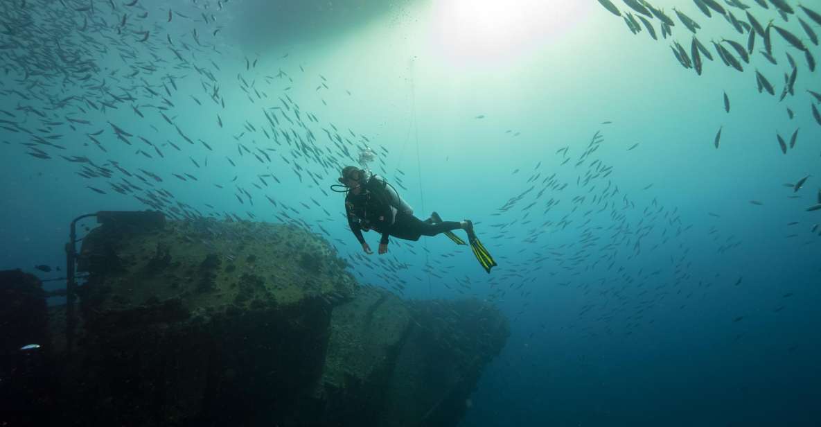 Oahu: Wreck & Reef Scuba Dive for Certified Divers - Highlights