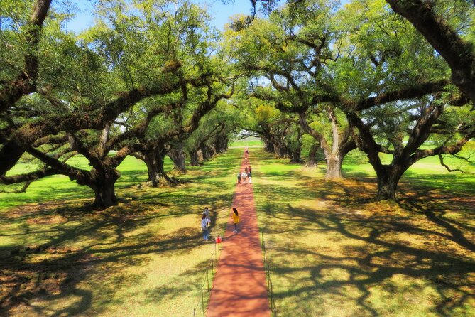 Oak Alley Plantation Tour With Transportation From New Orleans - Customer Reviews