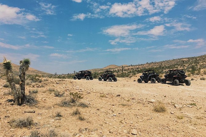 Off Road Mojave Desert Tour in Las Vegas - Host Responses and Feedback