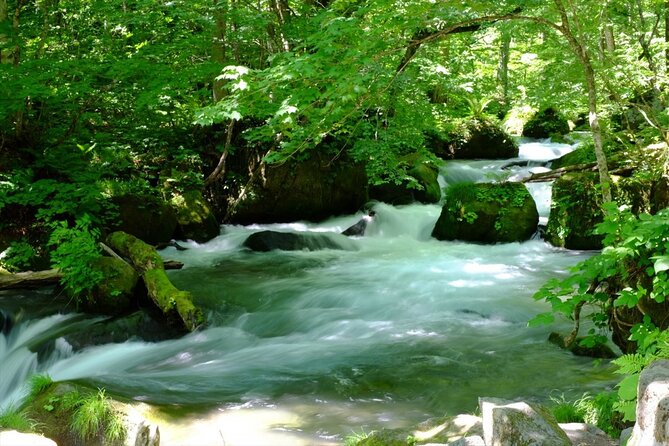 Oirase Gorge and Lake Towada Day Hike With Government-Licensed Guide - Marveling at the Beauty of Lake Towada