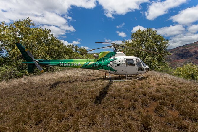Olokele Canyon Helicopter Tour Including Canyon Landing Kauai - Customer Reviews
