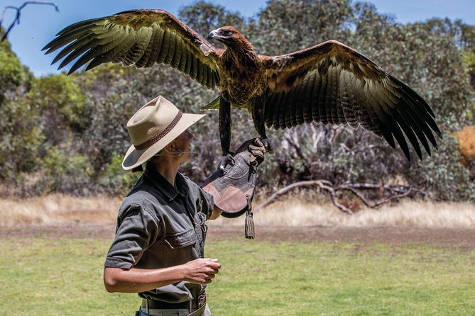 One Day Kangaroo Island Sip & See Tour With Return Ferry Transfers From Adelaide - Additional Information